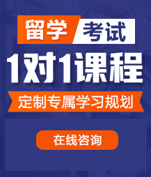 九色日逼视频留学考试一对一精品课